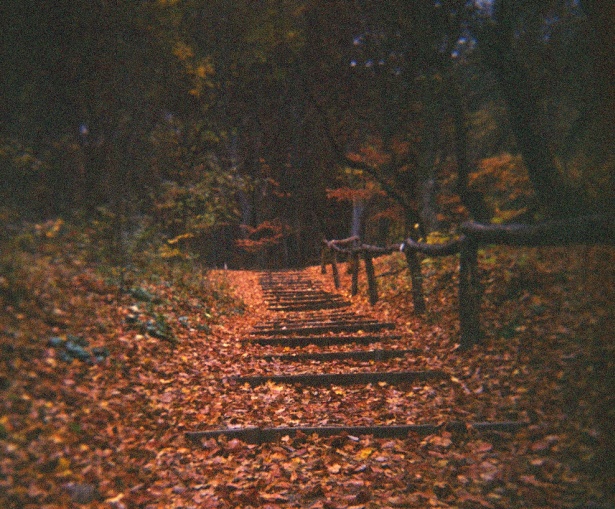 Colored path