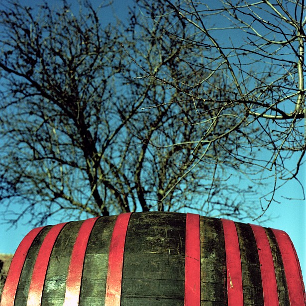Quiet winter days in the Somló wine region #2 || Hasselblad 500C/M | Zeiss Planar 2.8/80mm | Kodak Portra 160VC