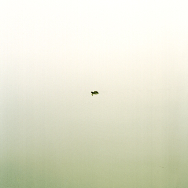 Foggy morning on the Danube || Hasselblad 500C/M | Zeiss Planar 2.8/80mm | Kodak Portra 160VC