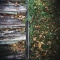Stairway to autumn