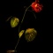 Lightpainted rose