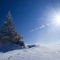 Snow, tree, sunshine